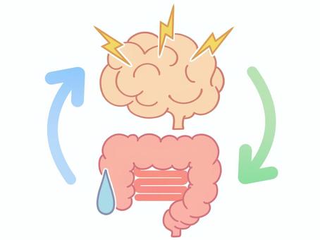 腸脳相関