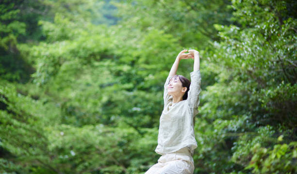 森林浴で整える心と体：自律神経への驚くべき効果とは？
